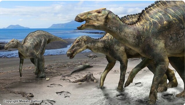 7 Hewan  Ini Tetap Bertahan Hidup saat Dinosaurus Punah 